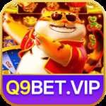 q9bet Casino Official v1.6.3